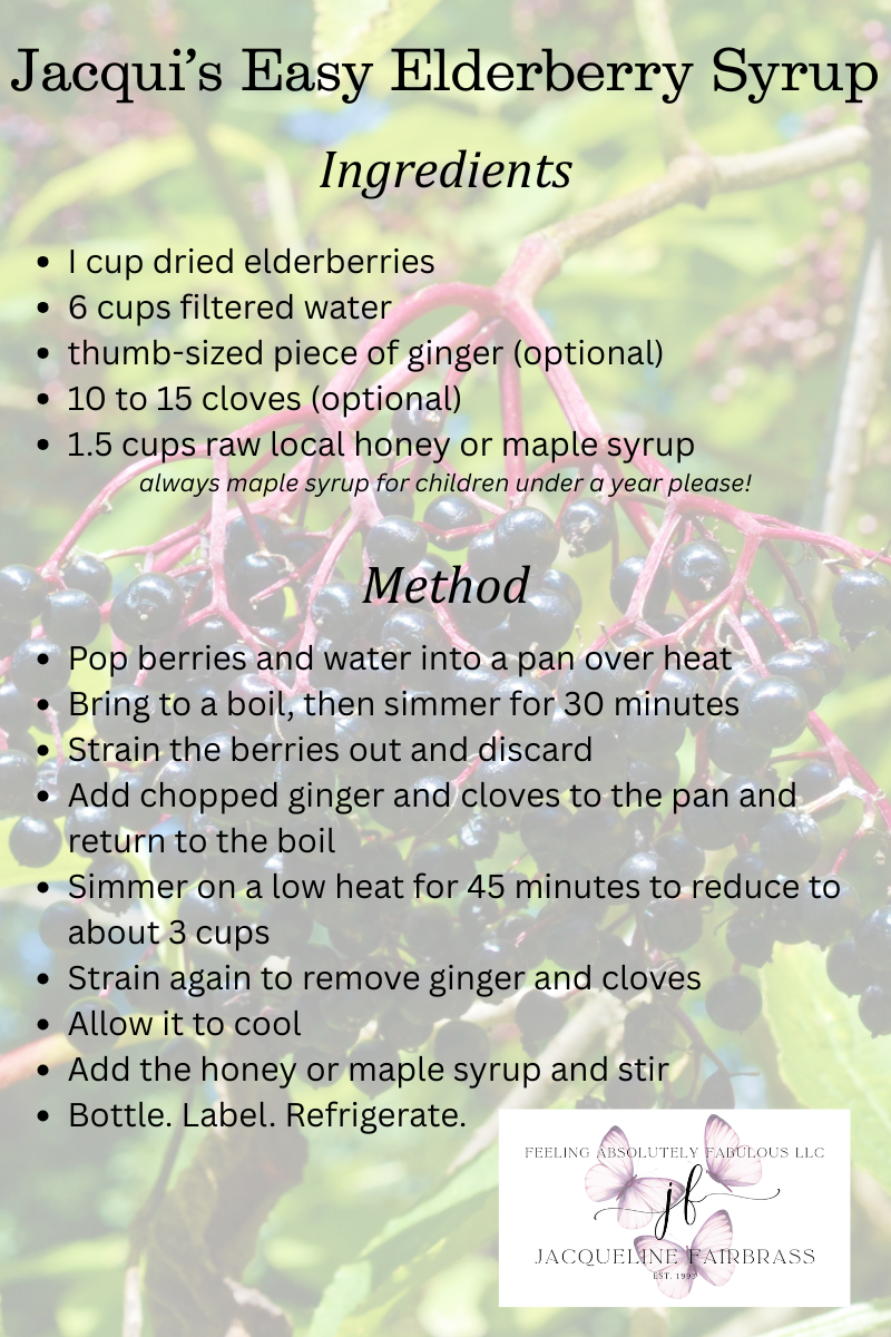 Elderberry Syrup Recipe