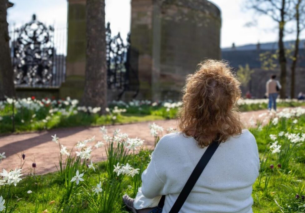Rear view of Jacqueline Fairbrass sitting in a bed of daffodils looking at high stone wall