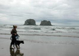 Jacqueline Fairbrass walking 'Eddy' on Rockaway Beach. Eddy, an abandoned pit bull rescued by Jacqueline and her husband, is a loving, intelligent, affectionate dog! In Ontario he would be euthanized because of his breed. Support Ontario Bill 16 on February 23! Support compassion every day!