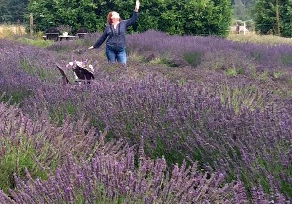 Lavendr | Queen of the Lavender | Jacqueline Fairbrass | Essential oils | Aromatherapy | Feeling Absolutely Fabulous | SchoolofCT